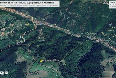Teren de 1600 mp, în Șugag - 8