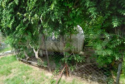 Casă cu 4 camere cu Teren 1500 Mp în Malu Mare - 14