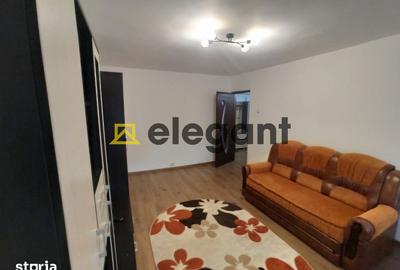 Apartament cu 2 camere decomandat, mobilat în Brazda lui Novac - 7