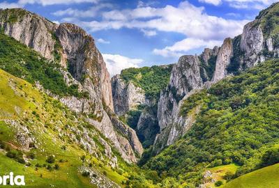 Teren de 14000 mp, în Mihai Viteazu - 1