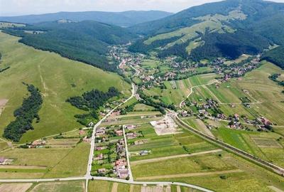 Domeniu de 6.000 mp, conditii apreciabile, Dobarlau, Covasna - 3