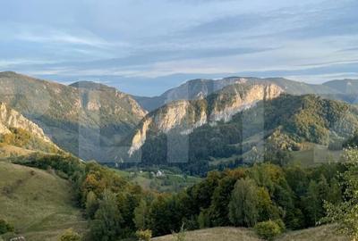 Teren de 5200 mp, în Ponor - 5