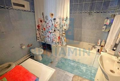 Vila P+1 cu 4 camere 120mp Catargiu -centrala -an 2013 - 3