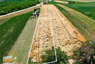 Spațiu comercial, în Valea Crișului - 4