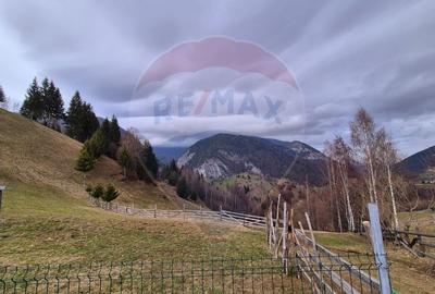 Comision 0 %/ Teren extravilan 13,570mp Pestera / Priveliste Manastire - 5