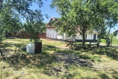 Casă cu Teren 1500 Mp în Tormac - 4