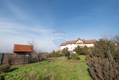 Casă cu 20 camere cu Teren 1395 Mp în Manolache - 10