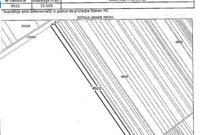Teren extravilan 12500 mp, Valea Mare, Olt - 2