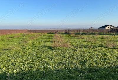 Teren de 2042 mp, în Tulucești