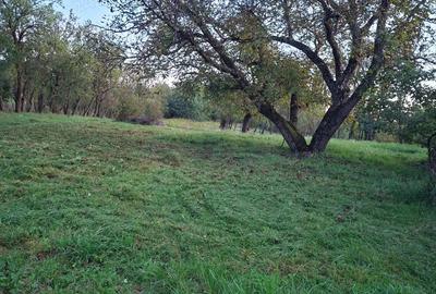 Teren si casa de vanzare in Mica, CJ - 3