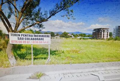 Teren de 5000 mp, în Primăverii - 4