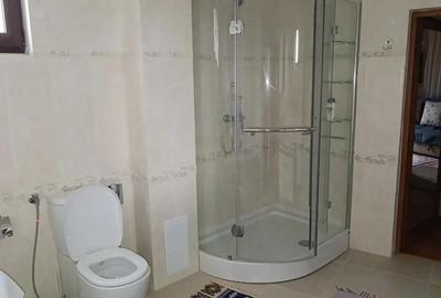 Casa situata in Alexandru cel Bun - 3