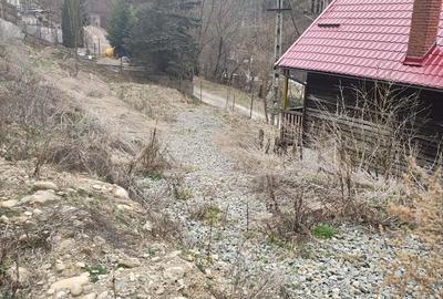Teren de 918 mp, în Râșca - 3