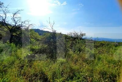 Teren de 3300 mp, în Central - 5