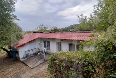 Casă cu 3 camere cu Teren 1167 Mp în Leamna de Jos - 2