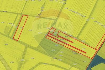 Teren agricol extravilan de 120770 mp, în Giarmata - 1