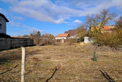 Teren de 3068 mp, în Priseaca - 7