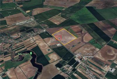 Teren de 50000 mp, în Crevedia