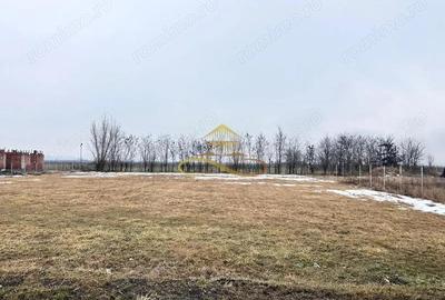 Teren de 900 mp, în Săucești - 3