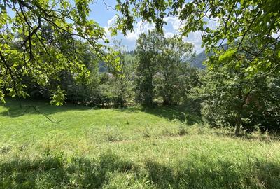 Teren intravilan de vanzare, cu vedere catre Castelul Bran - 6