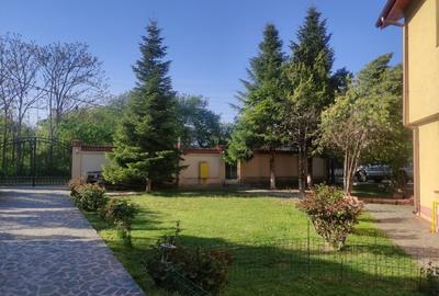 Casă individuală cu 5 camere cu Teren 3330 Mp în Central - 8