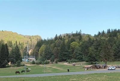 Teren cu potential:1.000 mp,proiect turistic/rezidential,Poiana Brasov - 4