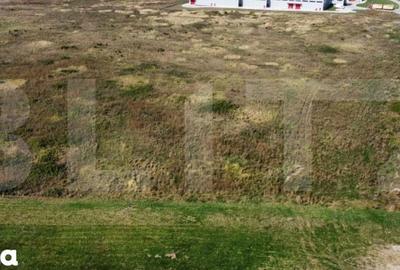 Teren de 11600 mp, în Remetea Mare