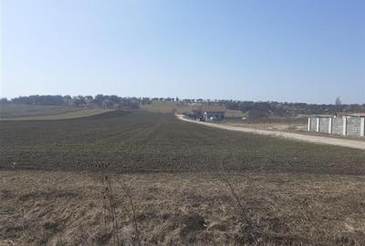 +900 mp in intravilan, cu plan urbanistic zonal aprobat si deschidere stradala - 4