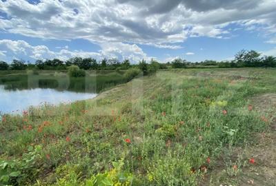 Teren de 10000 mp, în Șărmășag - 7