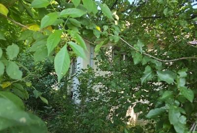 Casă cu 2 camere cu Teren 196 Mp în Periferie - 1