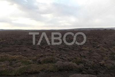 Teren de 10000 mp, în Central - 1