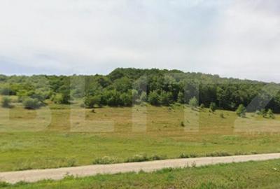 De Vanzare: Teren intravilan excep?ional in Codlea - prive - 1