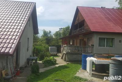Casă cu Teren 2400 Mp în Cavnic - 11