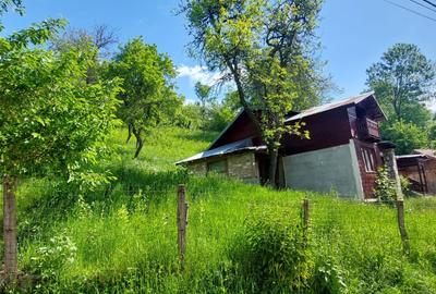 Casă individuală cu 2 camere cu Teren 1745 Mp în Comarnic - 18