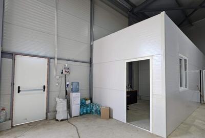 Hala noua | Afumati DN2 | 580mp - 8