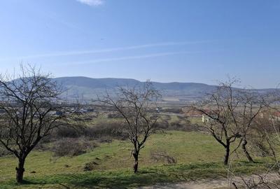 Teren de 14500 mp, în Exterior Vest - 7