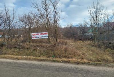 Teren de vanzare 5.370 mp - Dobrovat - 1