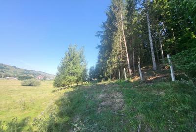 Teren, Ideal pentru Investitie Sau Dezvoltare - 14