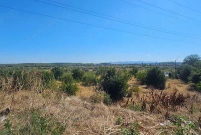 Teren intravilan 14.168 mp pozitie excelenta la intrarea in Braila - 2