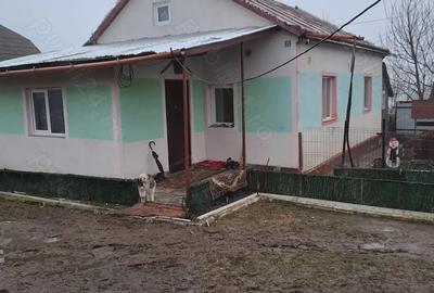 Casă cu 3 camere cu Teren 1600 Mp în Măriței - 3