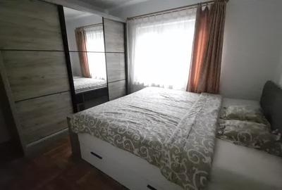 Apartament cu 2 camere decomandat, mobilat în Micălaca - 9
