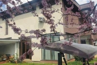Villa deosebita, 5 camere, 400mp, cartierul Horgosa - 4