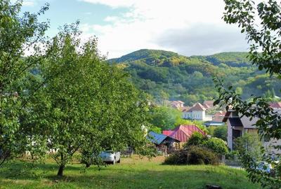 TEREN 1869 MP, CADRU NATURAL SUPERB, TOATE UTILITATILE - 3