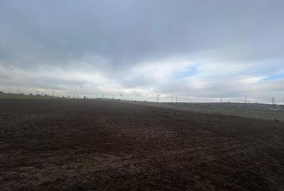 Teren intravilan, 10.000 mp, Simnicul de Sus - 2