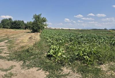 Teren de vanzare cu utilitati Stupini- COMISION 0% - 6