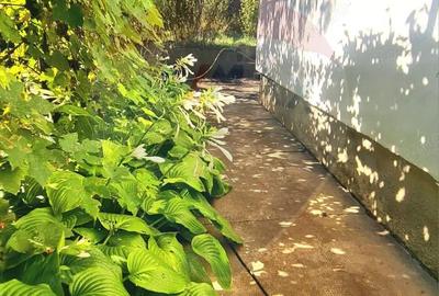 Casa de vanzare 170 mp, teren 1800 mp, Medias, cartier Vitrometan - 8