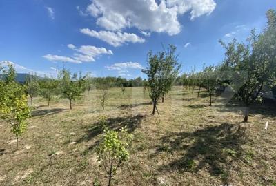 Teren de 1500 mp, în Aghireș - 5