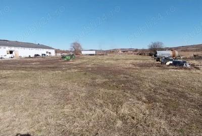 Spațiu comercial, de 1,000 mp, în Agnita