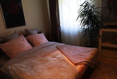 Duplex Gavana D+P+E+M, teren 500mp, garaj - 20