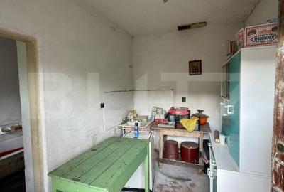 Casa batraneasca, renovabila, Comuna Danesti, Sat Vacarea, 2570 mp, front 25 ml - 7